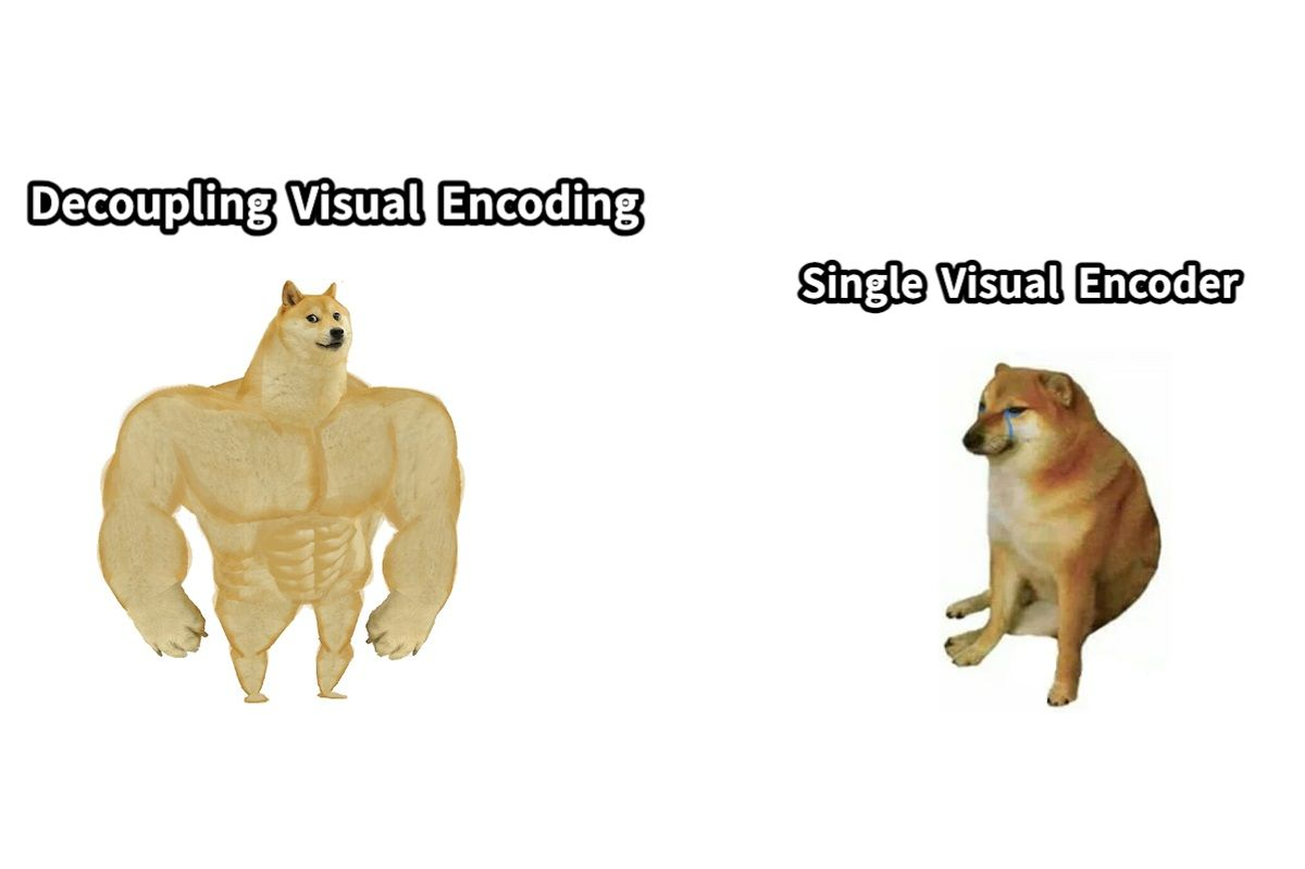 Janus Visual Encoding Overview
